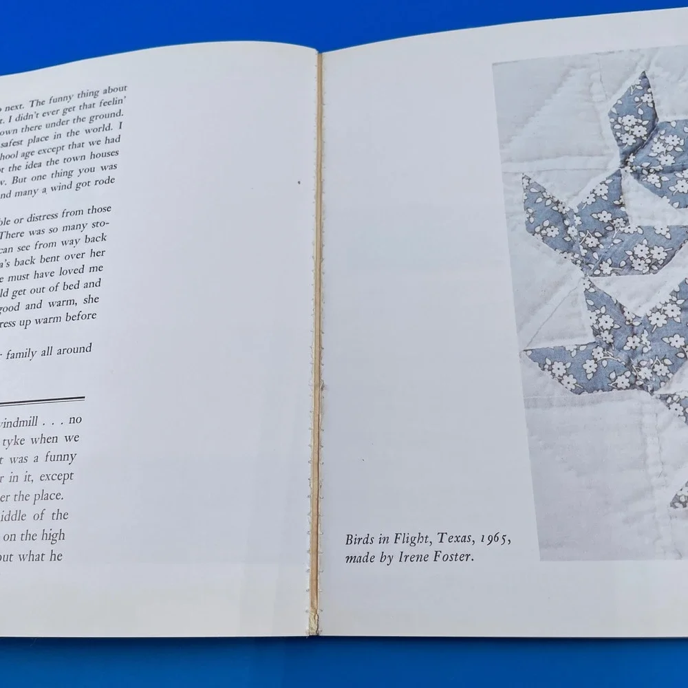 Quilting Book Lot x5 Quick Floral Irish Chain Friendship Womens Oral History